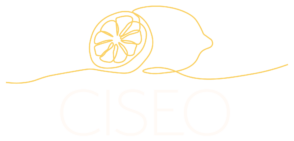 Ciseo – Web Design & SEO
